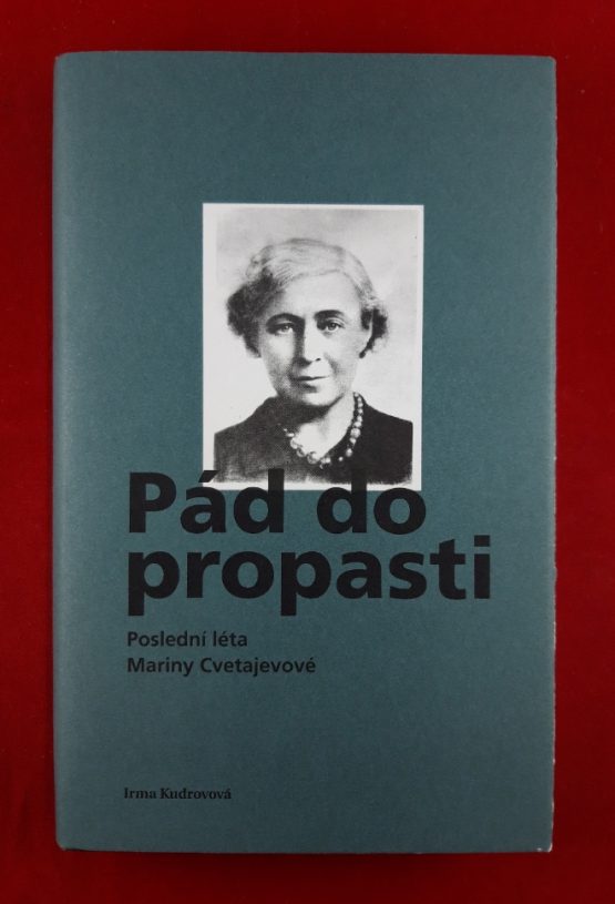 Pád do propasti