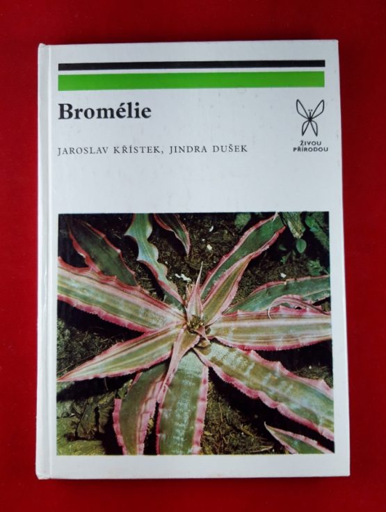 Bromélie