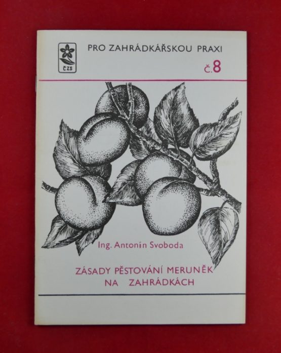 Zásady pěstování meruněk na zahrádkách