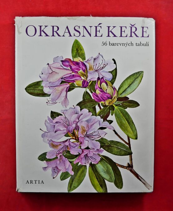 Okrasné keře